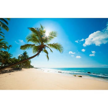 Fototapet Palmieri, nisip, mare 300 x 200 cm Fototapet Palmieri, nisip, mare 300 x 200 cm