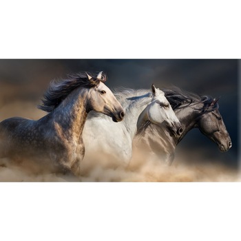 Fototapet Cai 14 (380 x 255 cm) Fototapet Cai 14 (380 x 255 cm)