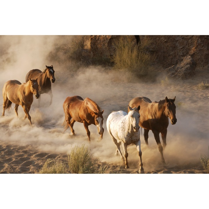 Fototapet Cai 3 (380 x 255 cm)