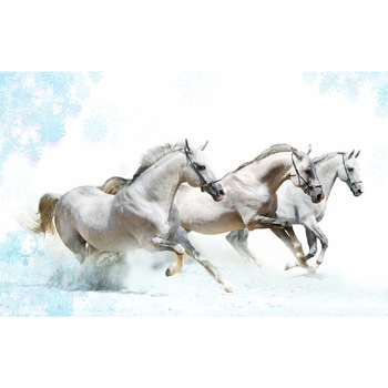 Tablou canvas Cai 10 (90 x 60 cm) Tablou canvas Cai 10 (90 x 60 cm)