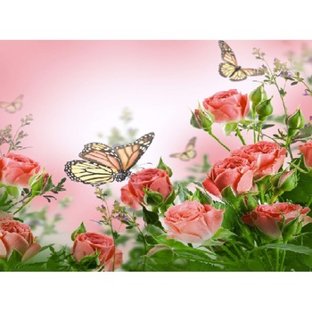 Fototapet Fluturi in zbor peste trandafiri rosii (270 x 255 cm) Fototapet Fluturi in zbor peste trandafiri rosii (270 x 255 cm)