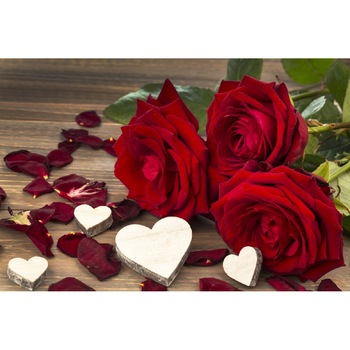 Tablou canvas Trandafiri rosii cu inimioare (105 x 70 cm) Tablou canvas Trandafiri rosii cu inimioare (105 x 70 cm)