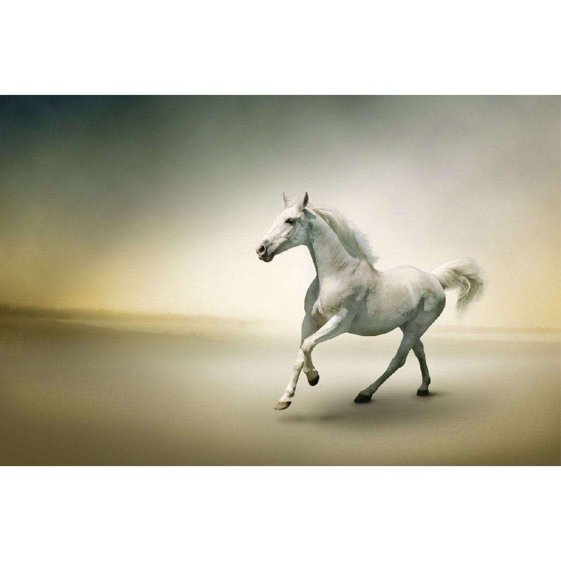 Tablou canvas Cai 5 (60 x 40 cm)