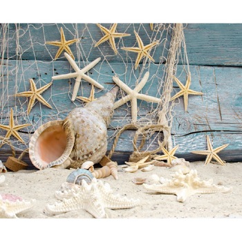 Fototapet de perete autoadeziv si lavabil Plasa cu stele 2 270 x 200 cm Fototapet de perete autoadeziv si lavabil Plasa cu stele 2 270 x 200 cm