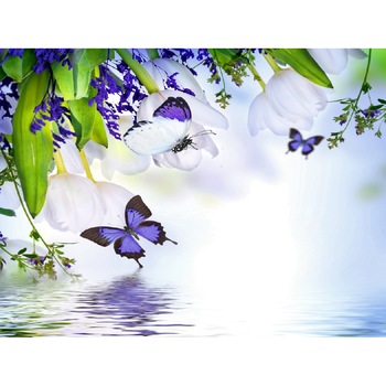Fototapet din autocolant de perete Lalele si fluturi deasupra apei 270 x 200 cm Fototapet din autocolant de perete Lalele si fluturi deasupra apei 270 x 200 cm