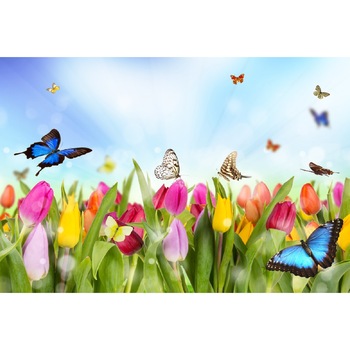 Fototapet de perete autoadeziv si lavabil Camp de lalele cu fluturi 200 x 135 cm Fototapet de perete autoadeziv si lavabil Camp de lalele cu fluturi 200 x 135 cm