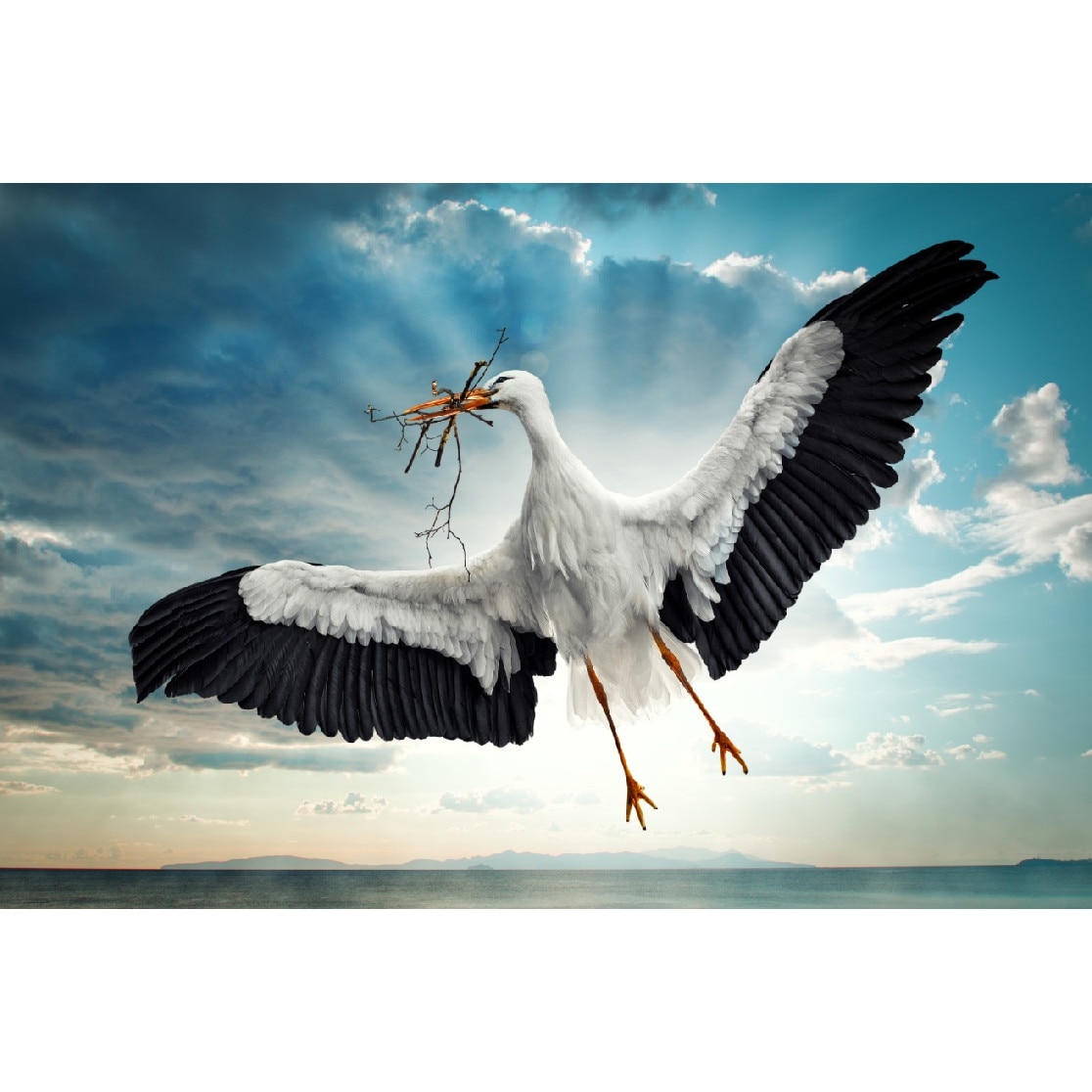 Tablou canvas Barza in zbor (90 x 60 cm)