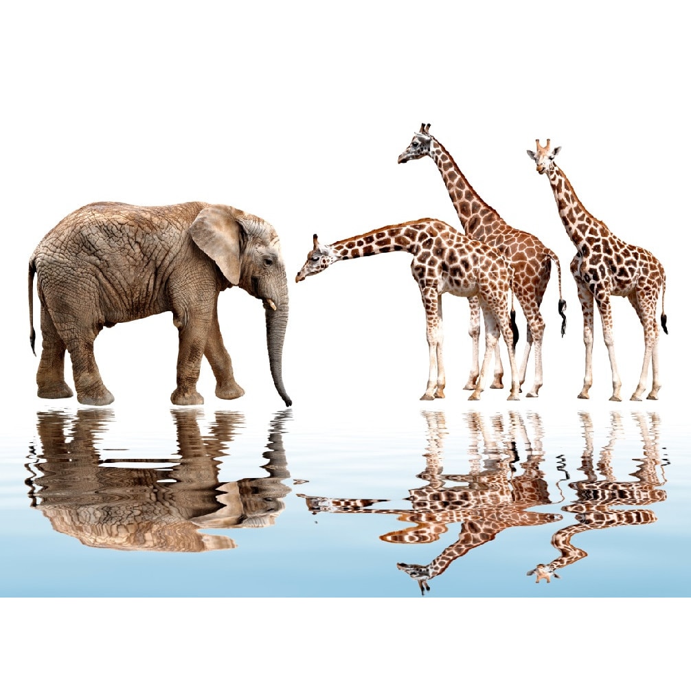 Tablou canvas Intalnire in savana (90 x 60 cm)