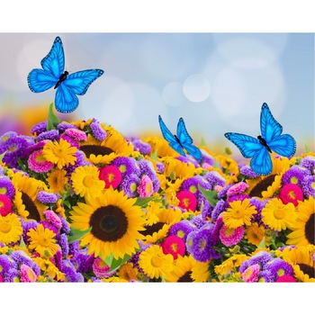 Fototapet de perete autoadeziv si lavabil Camp de flori cu fluturi 200 x 135 cm Fototapet de perete autoadeziv si lavabil Camp de flori cu fluturi 200 x 135 cm