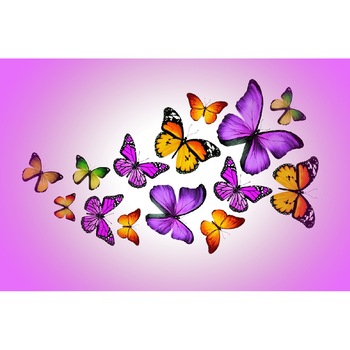 Fototapet de perete autoadeziv si lavabil Fluturi multicolori 200 x 135 cm Fototapet de perete autoadeziv si lavabil Fluturi multicolori 200 x 135 cm