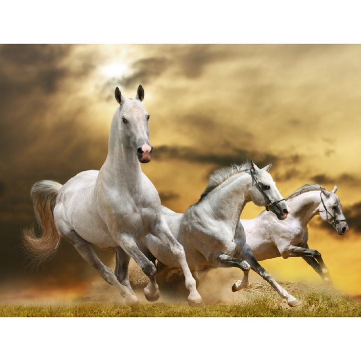 Fototapet de perete autoadeziv si lavabil Cai 12 200 x 135 cm