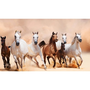 Tablou canvas Cai 13 (90 x 60 cm) Tablou canvas Cai 13 (90 x 60 cm)