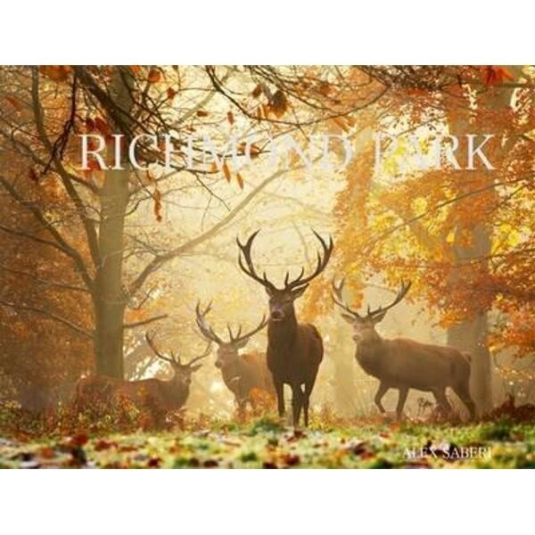 Richmond Park