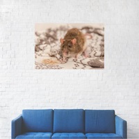tablou canvas pod luna de aproape femeie privind in zare 80 x 140 cm imagen 4_0_
0