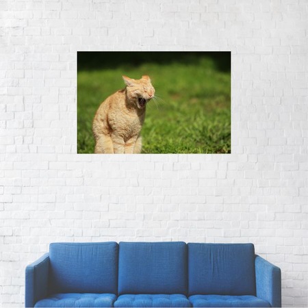 Tablou Canvas Pisica Nervoasa 80 X 120 Cm Emag Ro