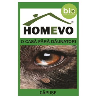 Homevo Capuse Homevo Capuse