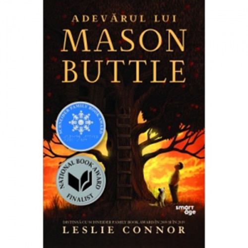 Adevarul Lui Mason Buttle , Leslie Connor