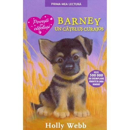 Barney Un Catelus Curajos Pb Emag Ro