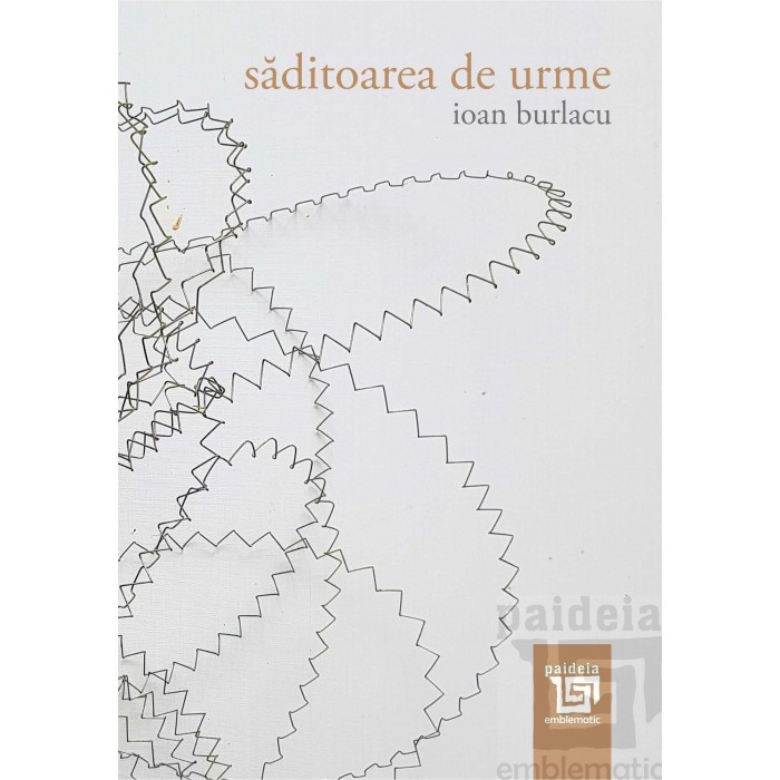 Saditoarea de urme - Ioan Burlacu