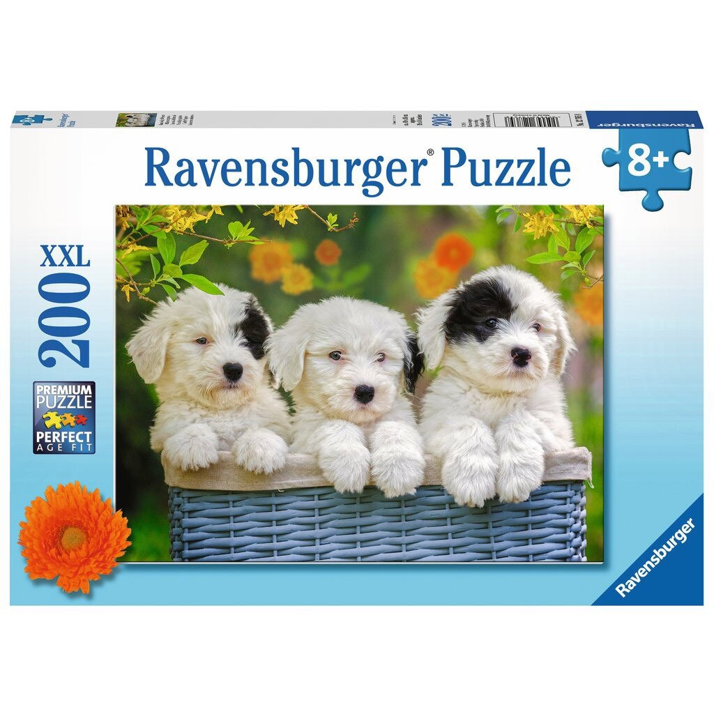 puzzles for puppies