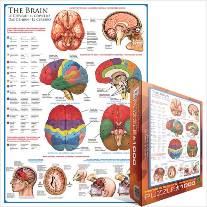 Пъзел Eurographics - The Brain, 1.000 части (2217)