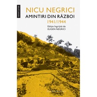 Amintiri de razboi - Nicu Negrici