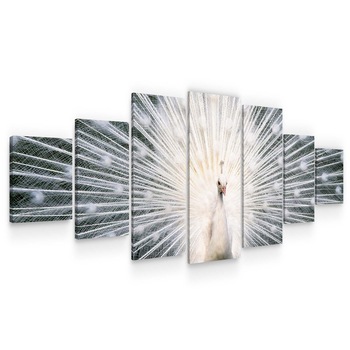 Set Tablou DualView Startonight Paunul Alb, 7 piese, luminos in intuneric, 100 x 240 cm Set Tablou DualView Startonight Paunul Alb, 7 piese, luminos in intuneric, 100 x 240 cm