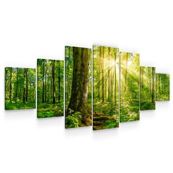 Set Tablou DualView Startonight Raze de Soare, 7 piese, luminos in intuneric, 100 x 240 cm Set Tablou DualView Startonight Raze de Soare, 7 piese, luminos in intuneric, 100 x 240 cm