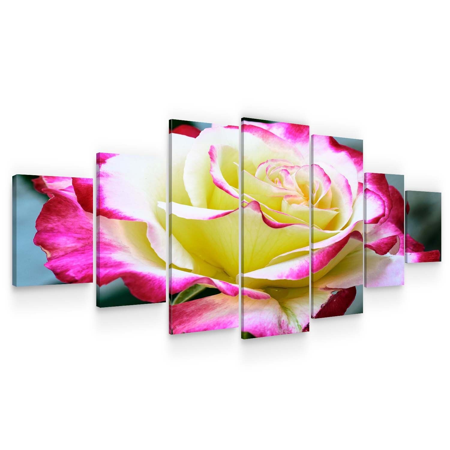 Set Tablou DualView Startonight Trandafir special, 7 piese, luminos in intuneric, 100 x 240 cm