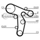 Curea Distributie Contitech Skoda Superb 2 2008-2015 2.0 TDI CT1134