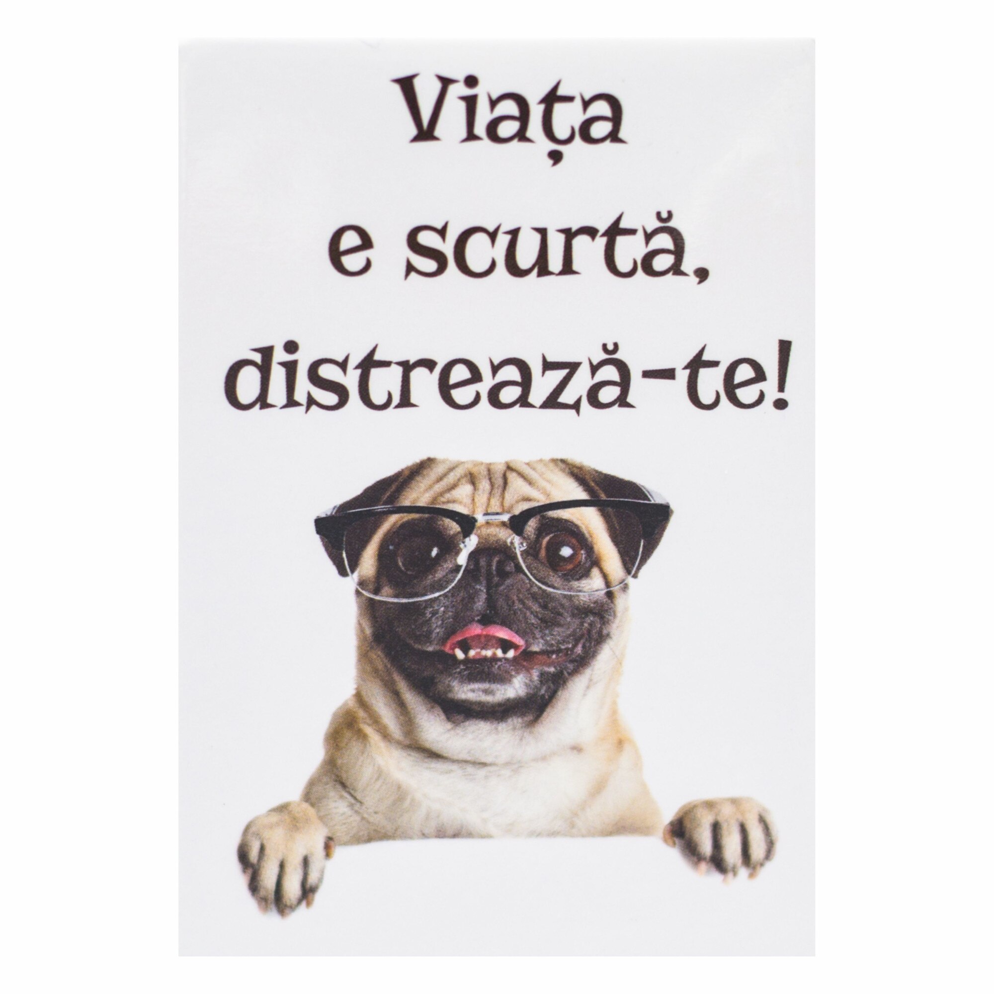 Magnet despre viata - Viata e scurta