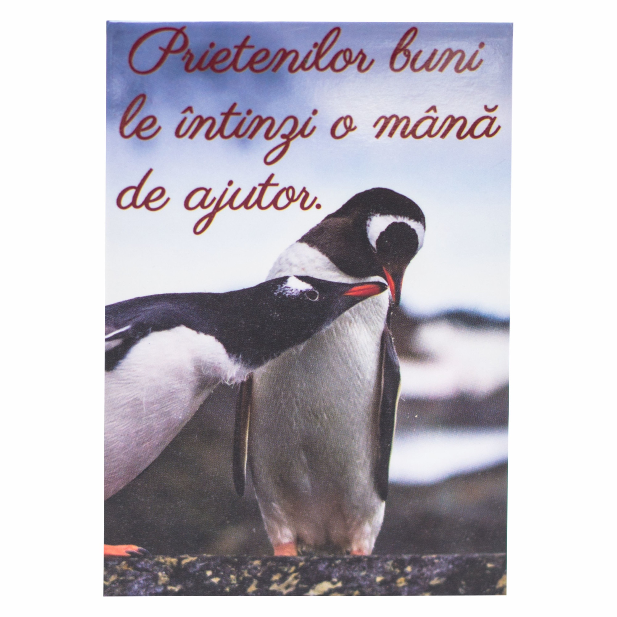 Magnet despre viata - Prietenilor buni