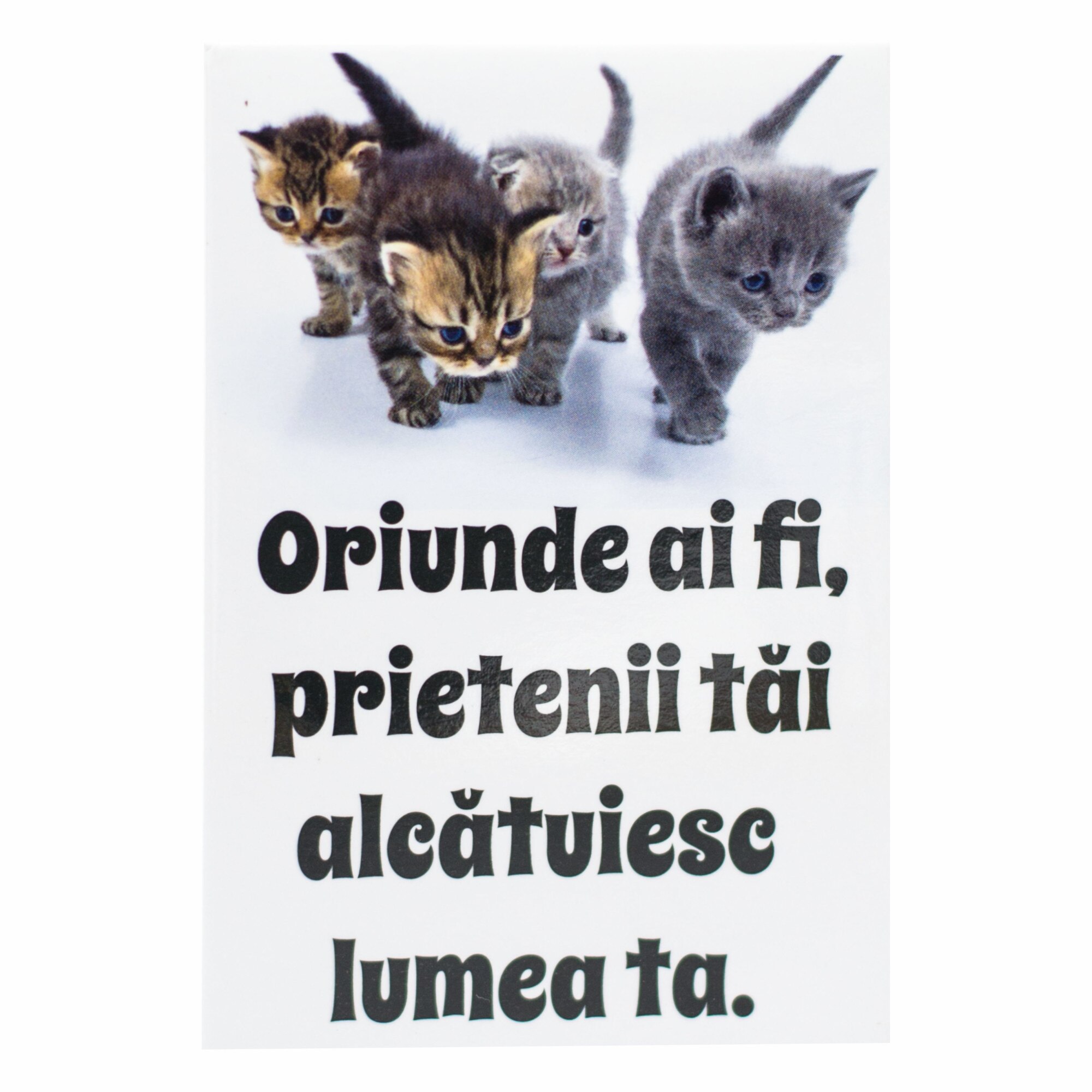 Magnet despre viata - Oriunde ai fi