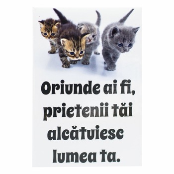 Magnet despre viata - Oriunde ai fi Magnet despre viata - Oriunde ai fi