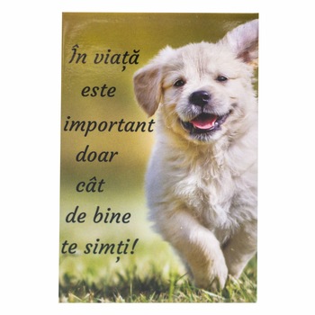 Magnet despre viata - In viata Magnet despre viata - In viata