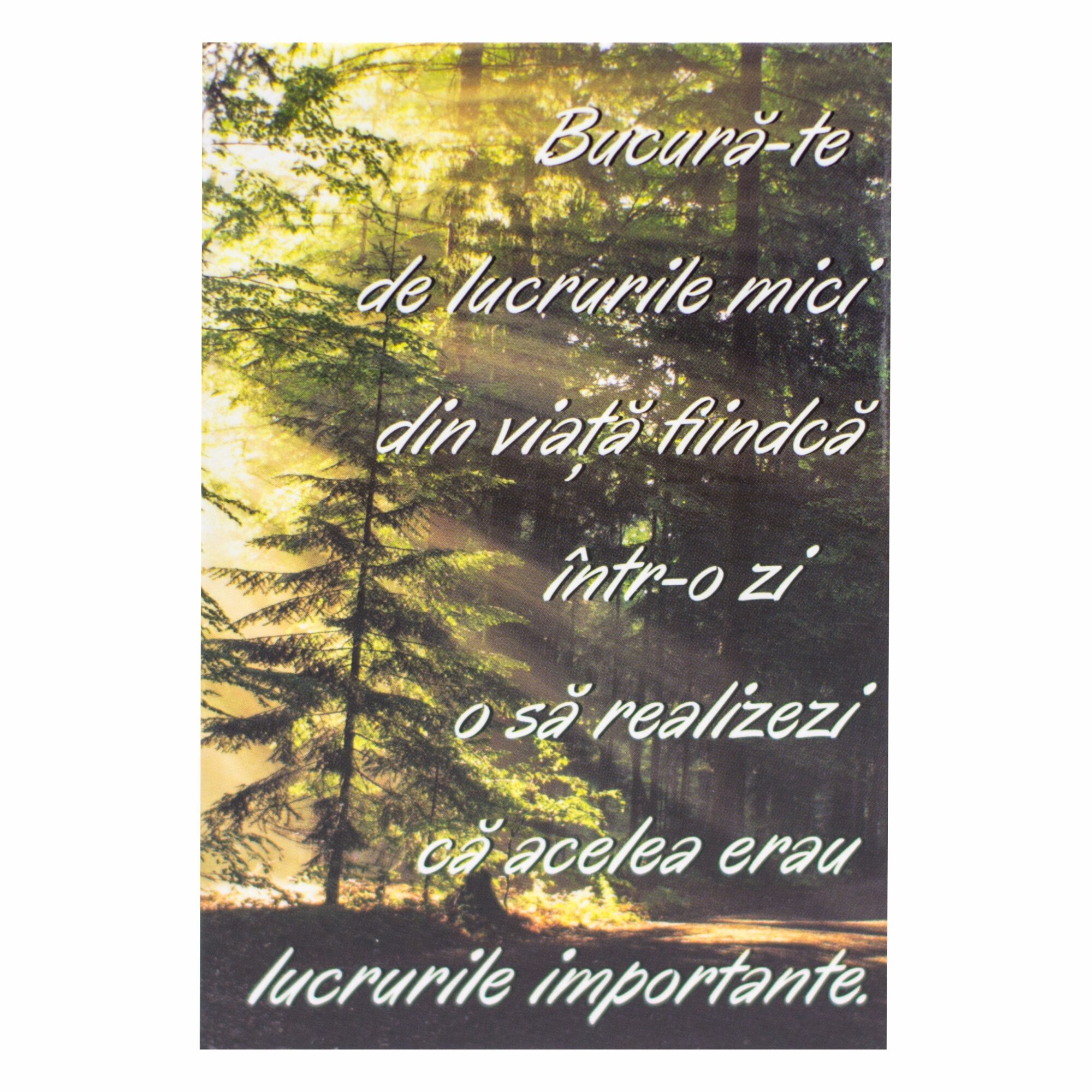 Magnet despre viata - Bucura-te