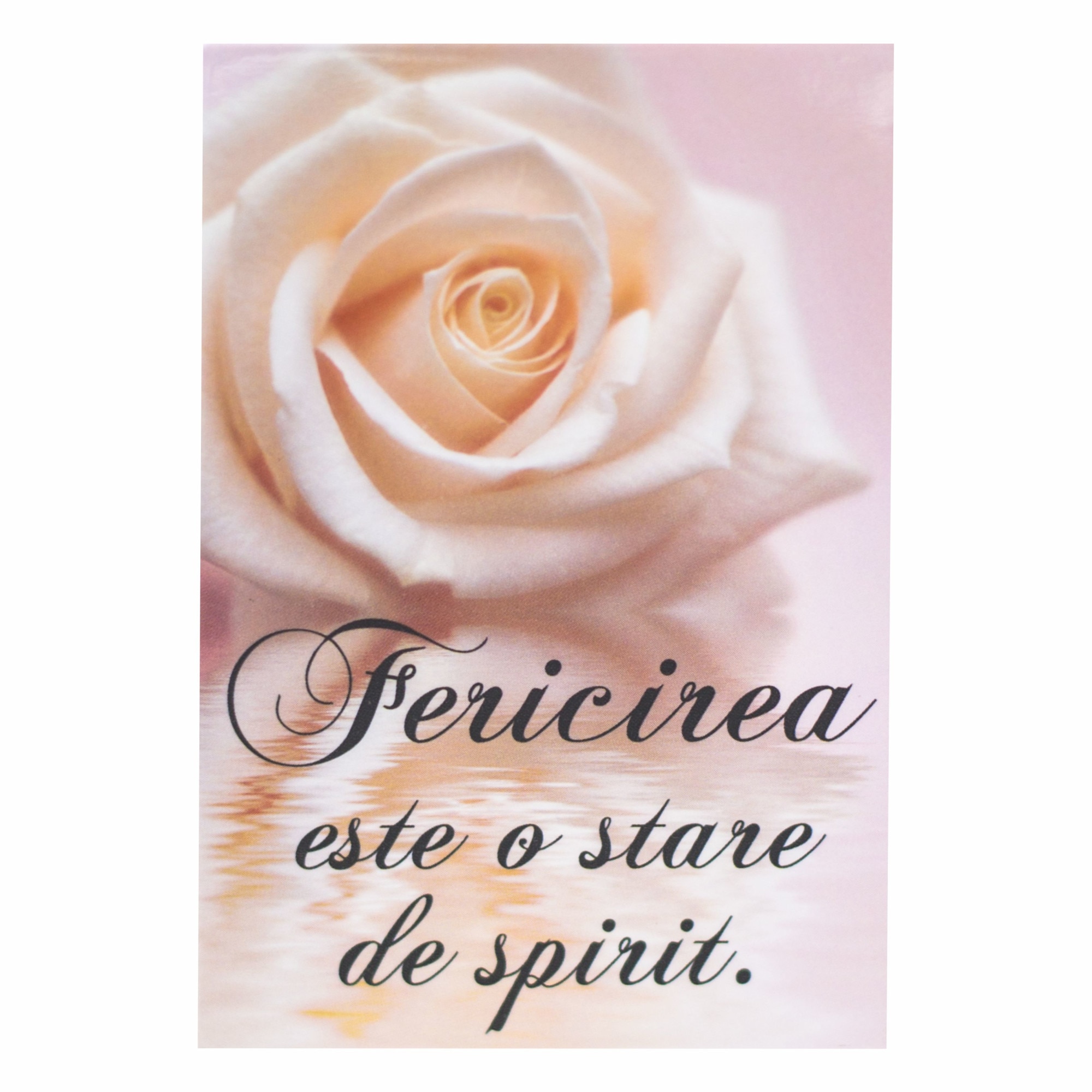 Magnet despre viata - Fericirea