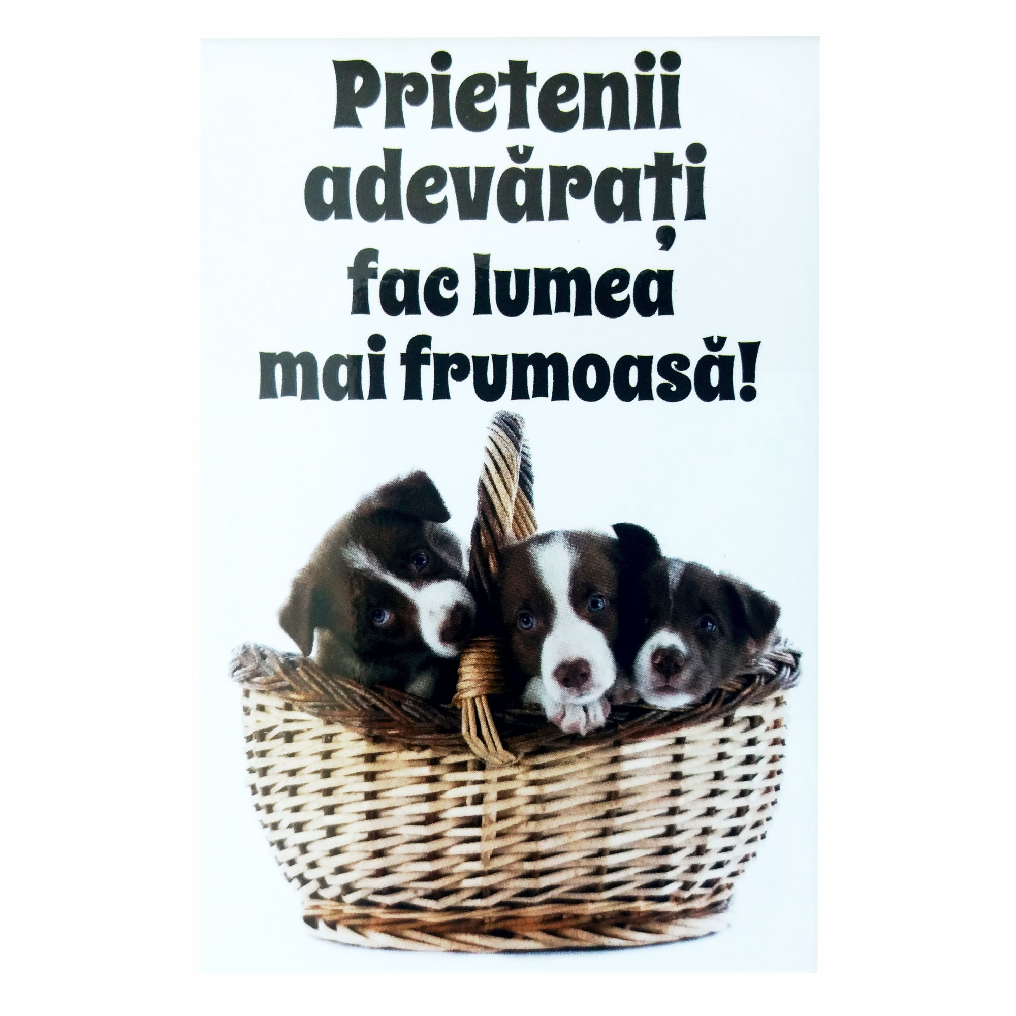 Magnet despre viata - Prietenii adevarati cosulet