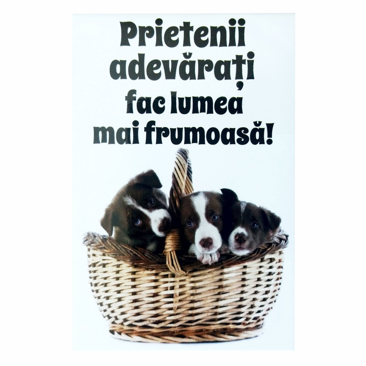 Magnet despre viata - Prietenii adevarati cosulet