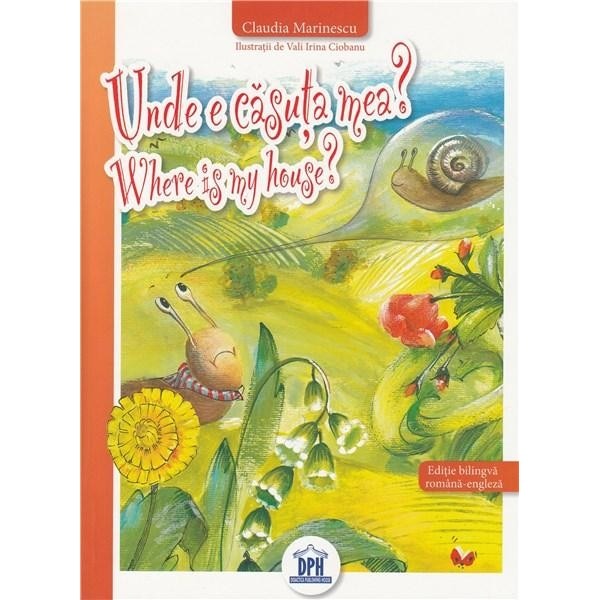 Unde E Casuta Mea? Ioan Mihai Cochinescu