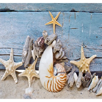 Fototapet de perete autoadeziv si lavabil Plasa cu stele 3 270 x 200 cm Fototapet de perete autoadeziv si lavabil Plasa cu stele 3 270 x 200 cm