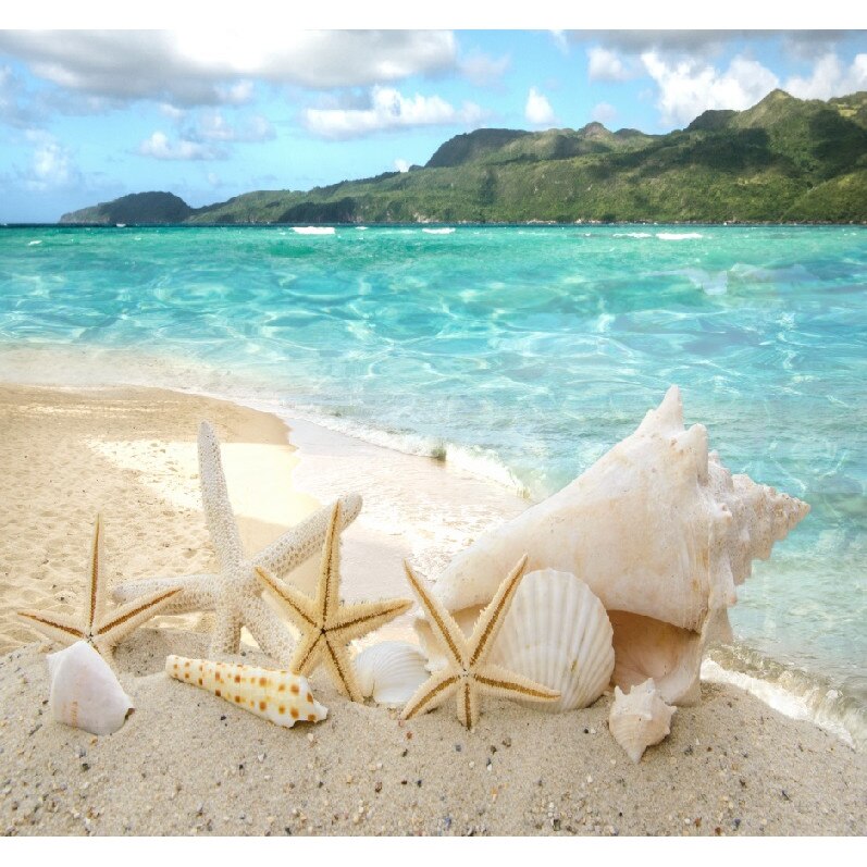 Fototapet Stele si cochilii pe plaja 300 x 200 cm