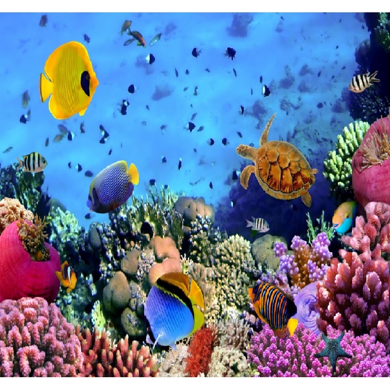 Fototapet de perete autoadeziv si lavabil Fauna oceanului 200 x 135 cm