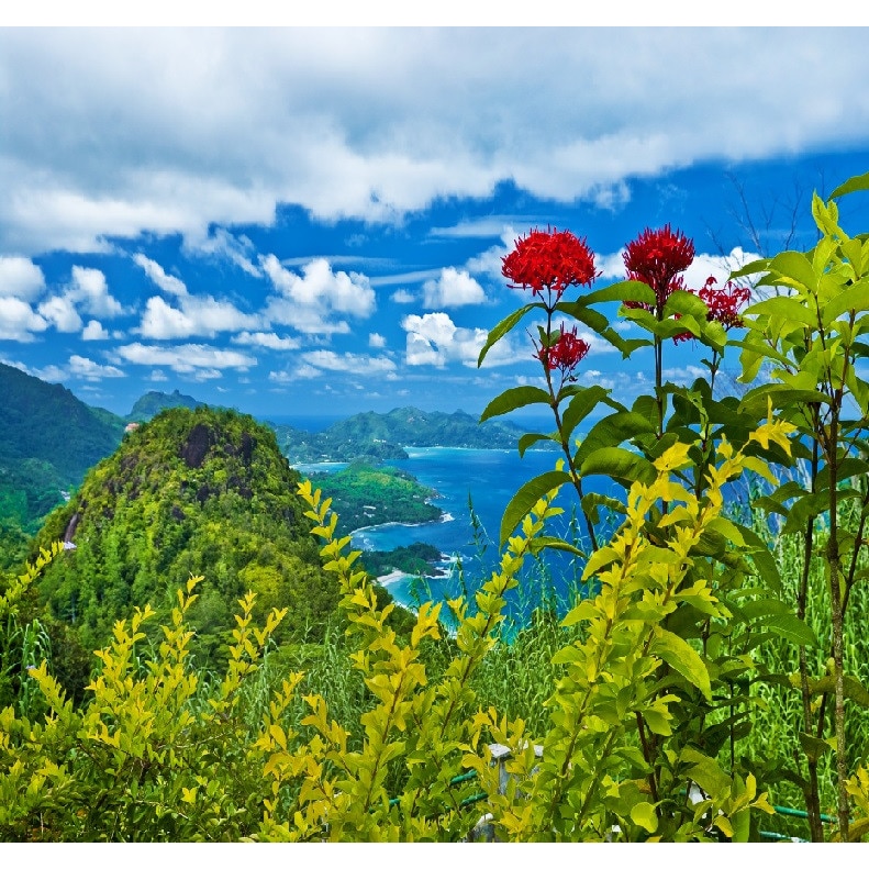 Fototapet de perete autoadeziv si lavabil Flori rosii peste golf 200 x 135 cm