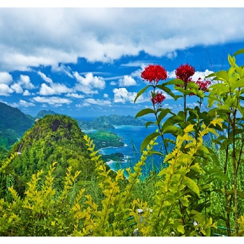 Fototapet de perete autoadeziv si lavabil Flori rosii peste golf 270 x 200 cm Fototapet de perete autoadeziv si lavabil Flori rosii peste golf 270 x 200 cm