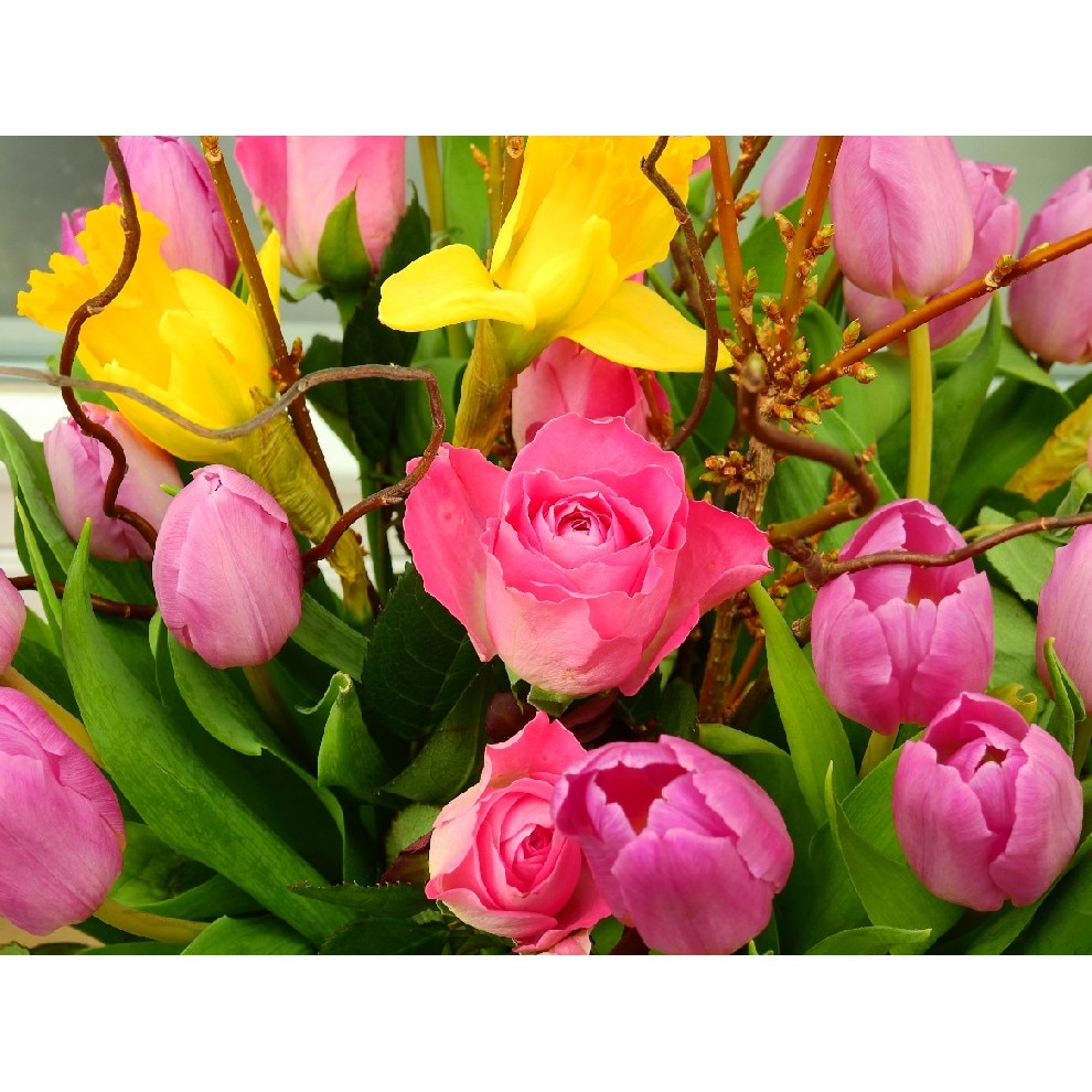 Tablou canvas Trandafiri, lalele, irisi (75 x 50 cm)