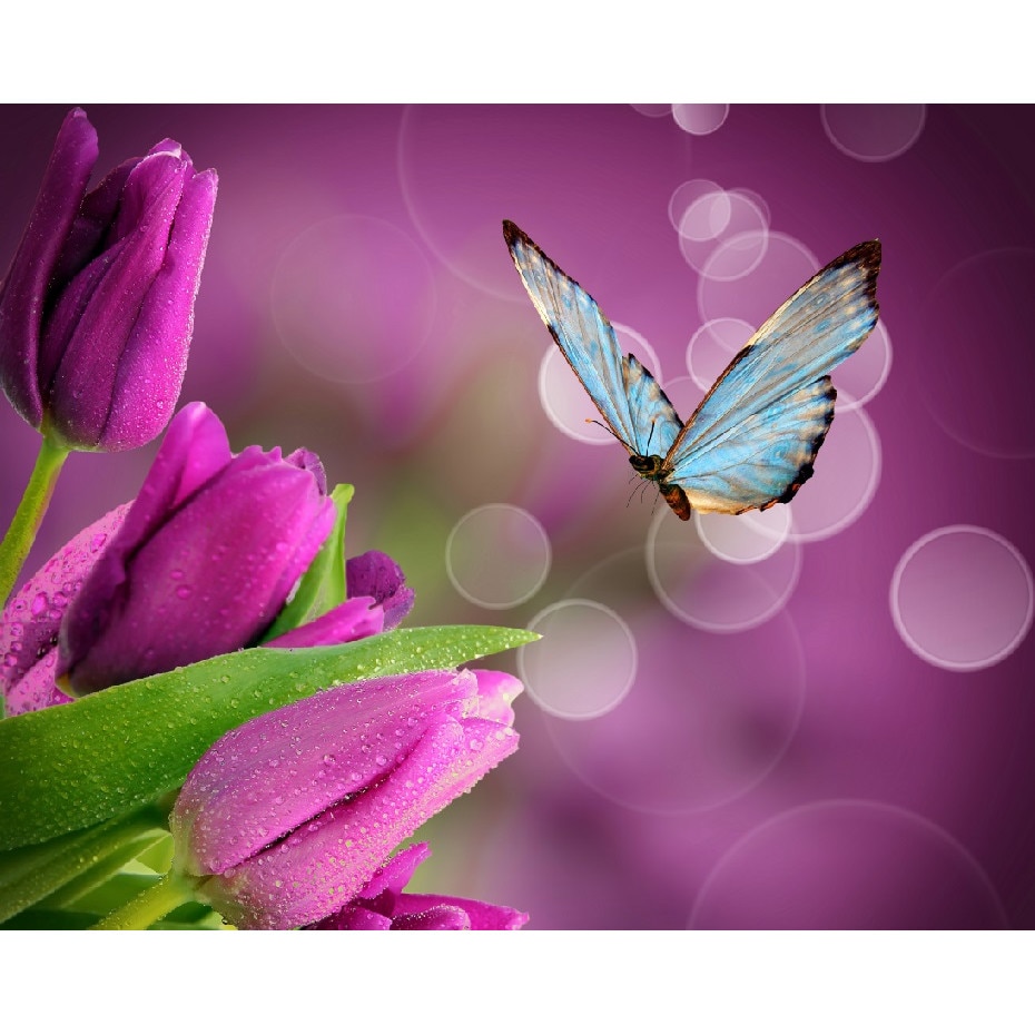 Fototapet din autocolant de perete Fluture albastru cu lalele mov 200 x 135 cm