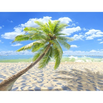 Fototapet Plaja, palmier si umbra sa 300 x 200 cm Fototapet Plaja, palmier si umbra sa 300 x 200 cm