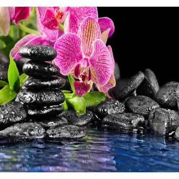 Fototapet de perete autoadeziv si lavabil Orhidee roz cu pietre negre 200 x 135 cm Fototapet de perete autoadeziv si lavabil Orhidee roz cu pietre negre 200 x 135 cm