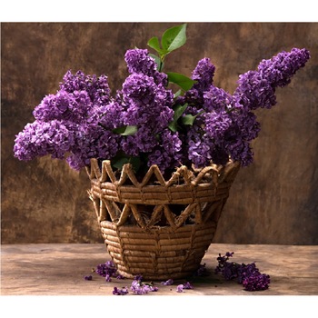 Tablou canvas Cos cu liliac (75 x 50 cm) Tablou canvas Cos cu liliac (75 x 50 cm)